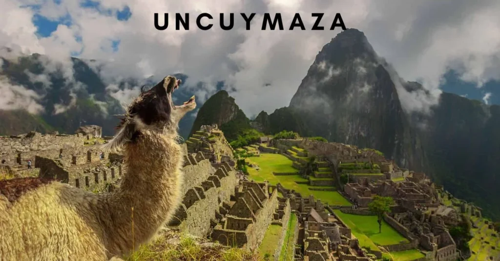 Uncuymaza: A Hidden Gem in Culinary Traditions