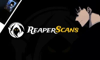 Reaper Scans: Taking Your Skills to the Next Level