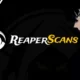 Reaper Scans: Taking Your Skills to the Next Level