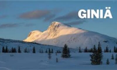 GiniäGiniä