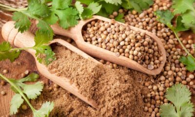 Koriandri Unveiled: Health Benefits and Nutritional Insights