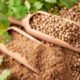 Koriandri Unveiled: Health Benefits and Nutritional Insights