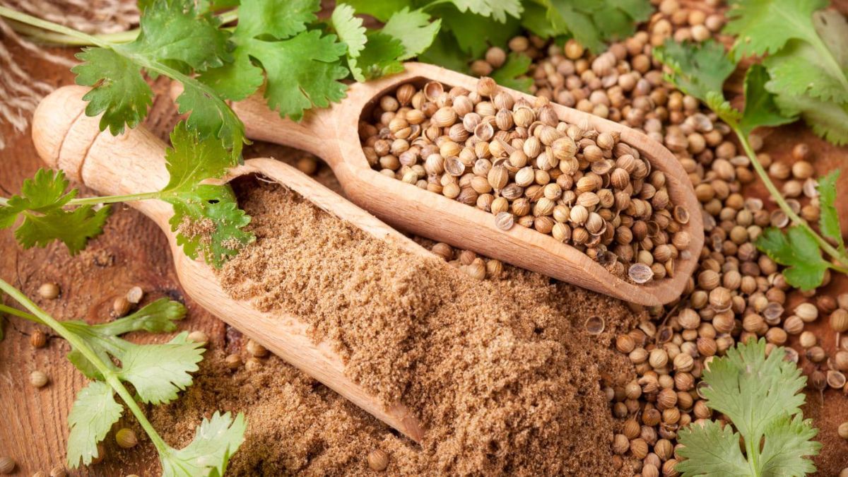 Koriandri Unveiled: Health Benefits and Nutritional Insights