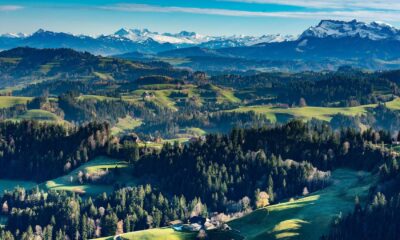 Biodiversity: Importance, Challenges, and the Path to Conservation