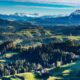 Biodiversity: Importance, Challenges, and the Path to Conservation