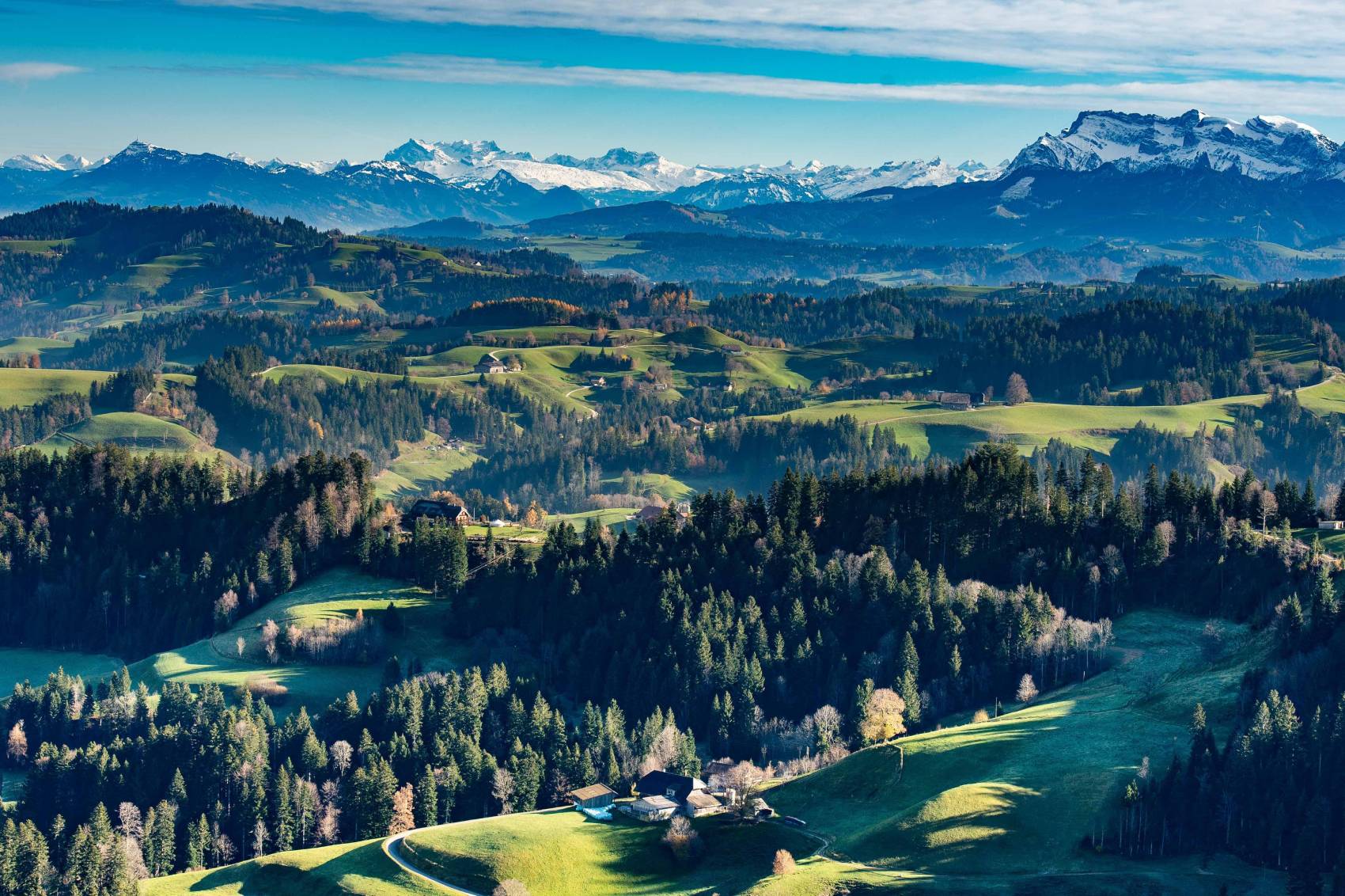 Biodiversity: Importance, Challenges, and the Path to Conservation
