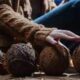 WoolRec: The Impact of Sustainable Practices on Our Planet