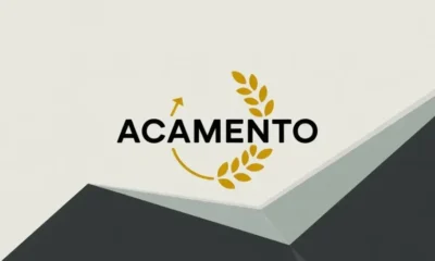 Acamento: Crafting Meaningful Connections in Your Blog