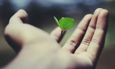 Sosoactive: The Platform Transforming Online Social Interaction