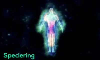 Speciering: Crafting Content for Specific Audiences