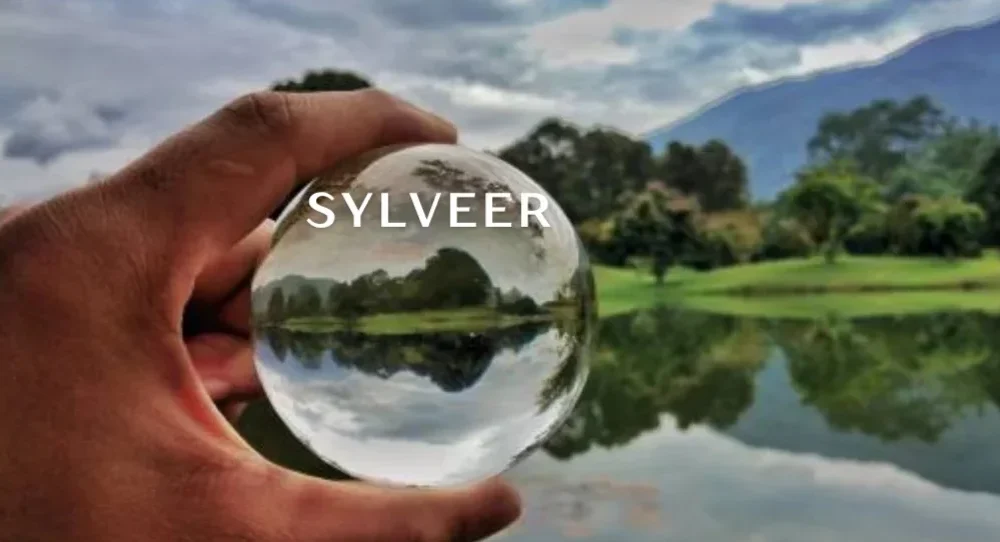 Sylveer: The Artistic Journey of a Modern Visionary