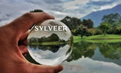 Sylveer: The Artistic Journey of a Modern Visionary