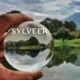 Sylveer: The Artistic Journey of a Modern Visionary