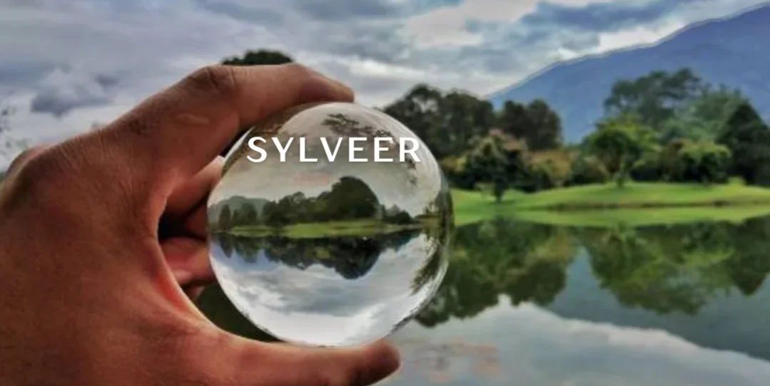 Sylveer: The Artistic Journey of a Modern Visionary