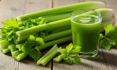 Pravi Celer: The Nutritional Powerhouse You Need to Know About