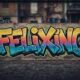 Felixing: Transforming Everyday Challenges into Creative Solutions