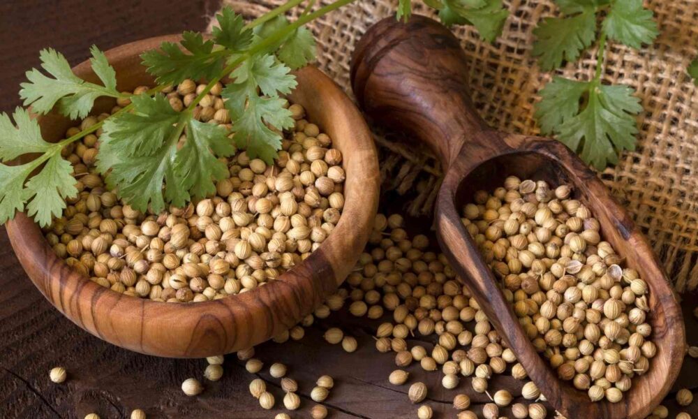 Koriandri: The Herb That Elevates Your Culinary Experience