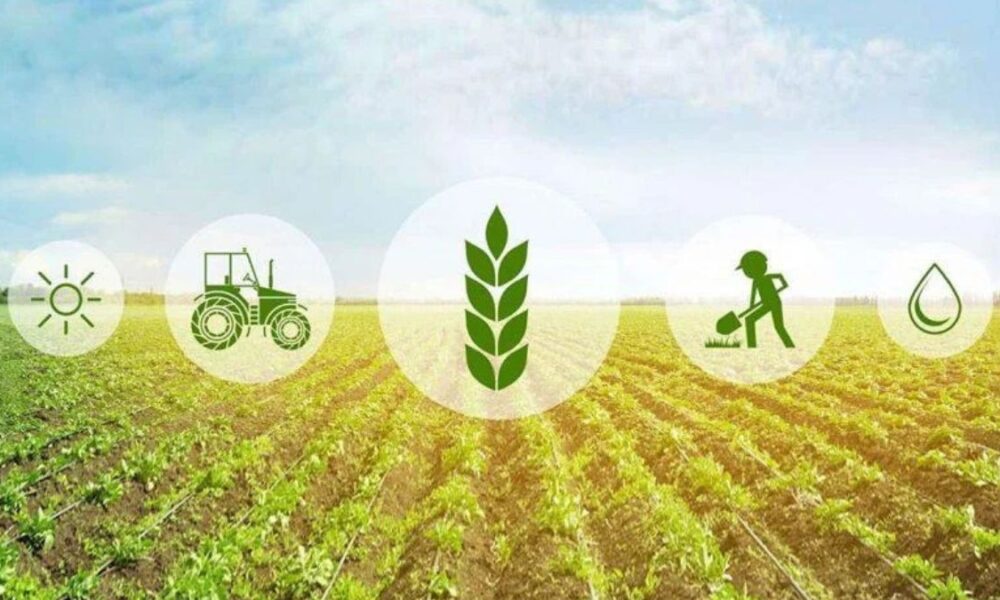 Insetprag: How This Tool is Changing the Game in [Industry/Field]