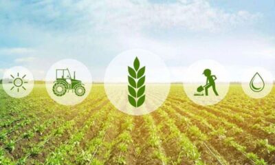 Insetprag: How This Tool is Changing the Game in [Industry/Field]