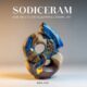 Sodiceram: How Artists Are Redefining Ceramic Art