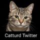 Catturd Twitter: The Rise of a Feline Meme Phenomenon