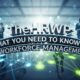 TheHRWP: What You Need to Know for Effective Workforce Management