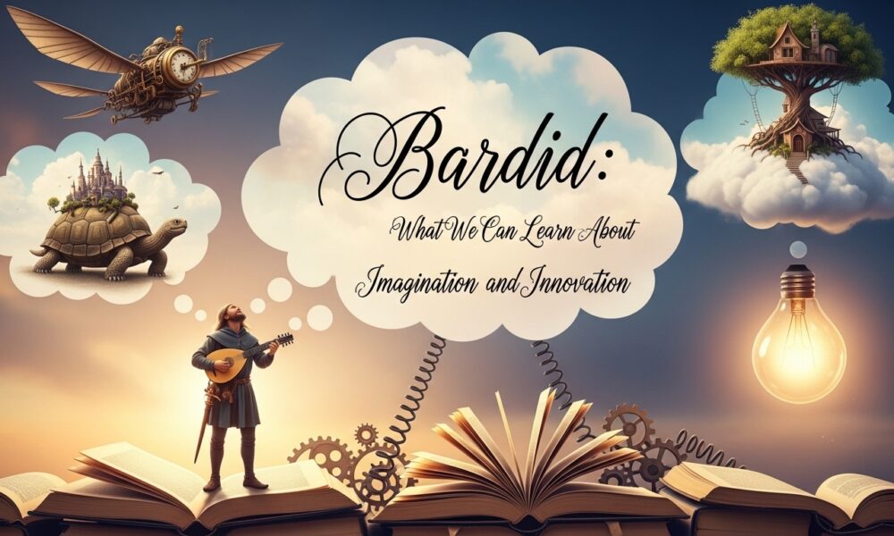 Bardid: What We Can Learn About Imagination and Innovation