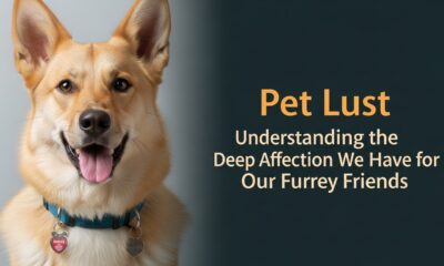 Pet Lust: Understanding the Deep Affection We Have for Our Furry Friends