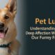 Pet Lust: Understanding the Deep Affection We Have for Our Furry Friends