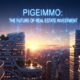 Pigeimmo: The Future of Real Estate Investment