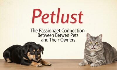 Petlust: The Passionate Connection Between Pets and Their Owners