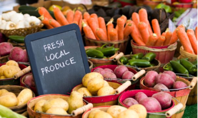 The Benefits of Sustainable Agriculture Are More Than Environmental