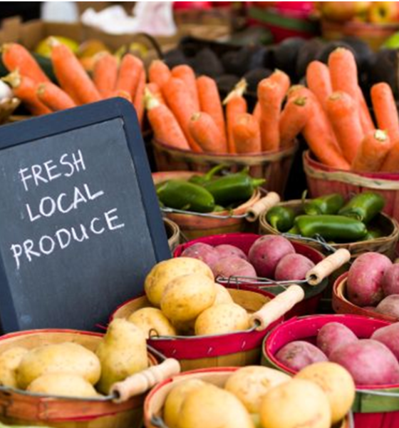 The Benefits of Sustainable Agriculture Are More Than Environmental